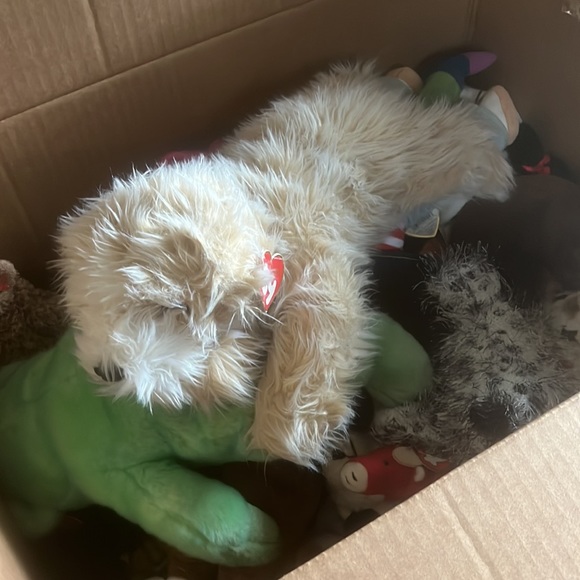 BEANIE BABIES - Picture 12 of 12